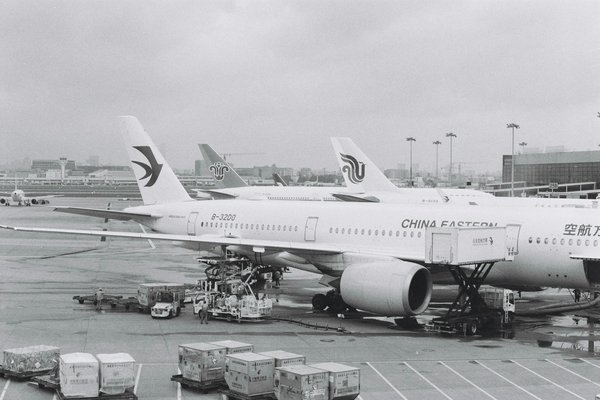 Excursions culturelles : Zoom sur la gastronomie locale