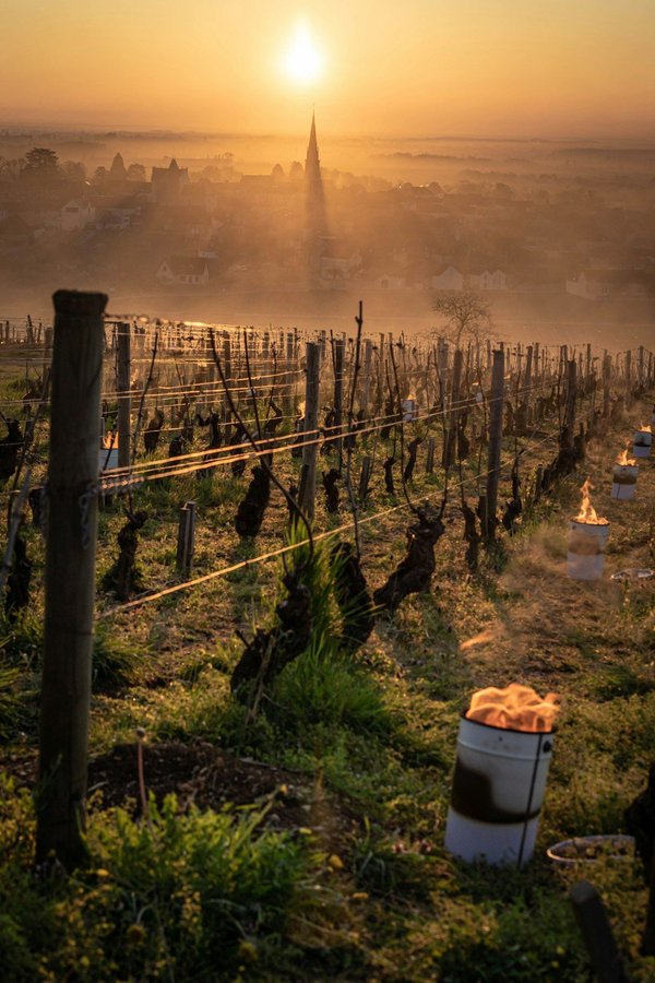 Les grands formats d'événements dans les vignobles de Bordeaux